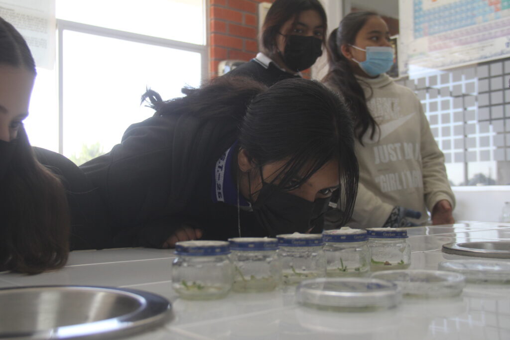 UJED PROMUEVE CIENCIA A MUJERES ADOLESCENTES LAGUNERAS