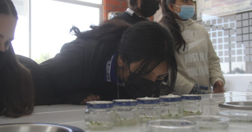 UJED PROMUEVE CIENCIA A MUJERES ADOLESCENTES LAGUNERAS